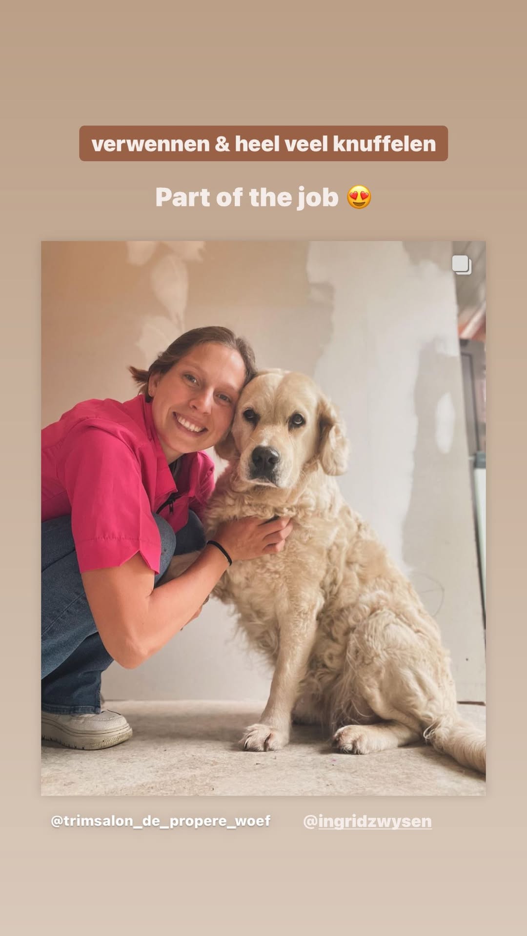 Blije hond na verzorging bij hondentrimmer in Ranst