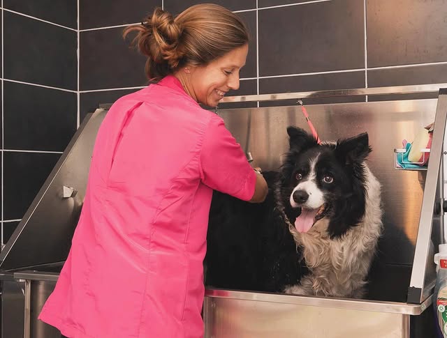 Hond wassen en verzorgen in Ranst