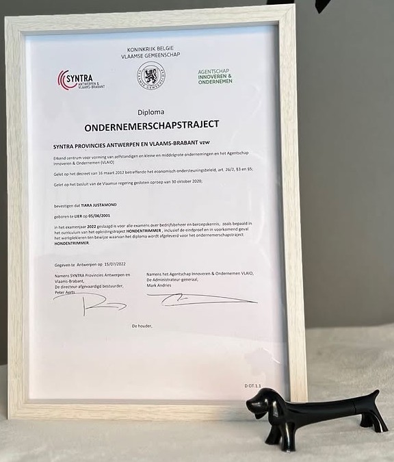 Diploma hondentrimmen
